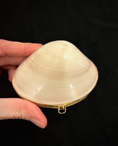 a person holding a shell in their hand on a black background with gold trimming