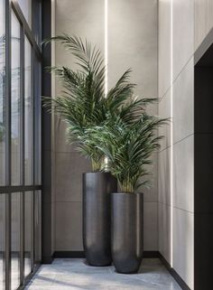 two tall black vases with plants in them