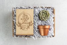 a wooden box with a plant and some other things in it that are on display