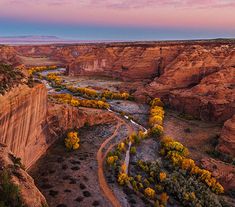 an aerial view of canyons and trees in the desert