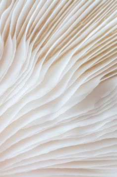 close up view of an abstract white paper texture