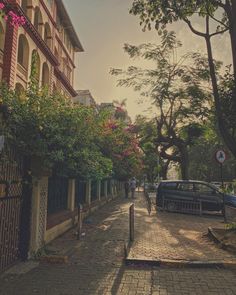 a car parked on the side of a road next to trees and flowers in front of a building