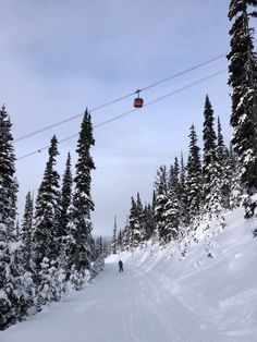 two people skiing down a snow covered ski slope with trees in the foreground and a cable car above them