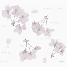 Pix Art, Cream Aesthetic, Gray Aesthetic, Instagram Feed Ideas, China Art, Phone Design, Little Flowers