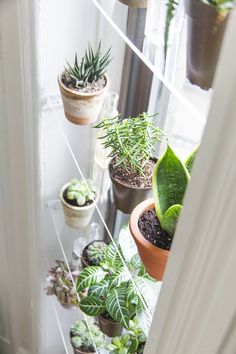 several potted plants are hanging on the glass shelf in front of the door and window