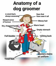 the anatomy of a dog's groomer, with its name and description on it