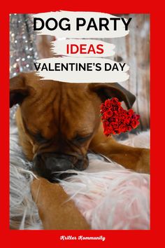 a brown dog laying on top of a bed next to a red sign that says dog party ideas valentine's day