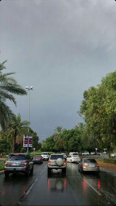 cars are driving down the road on a rainy day with palm trees in the background