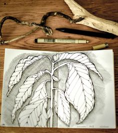 a drawing of a leaf on top of a piece of paper next to a pen