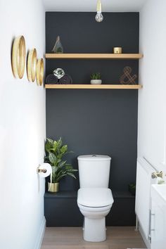 a white toilet sitting in a bathroom next to a wooden shelf filled with potted plants