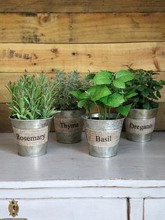 three pots with herbs in them sitting on a dresser