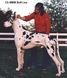 a woman standing next to a black and white dog