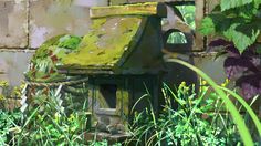 a bird house in the middle of some plants