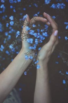 two hands reaching for blue flowers with the words ravenclaw written on it in white