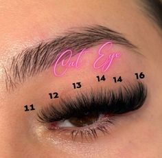 Lash Cluster Map Almond Eyes, 16 Mm Eyelash Extensions, Lash Map Clusters Cat Eye, D Curl Lash Map, Wispy Volume Lash Extensions Map, D Curl Lash Extensions, Wispy Lash Map, Wispy Lash Set, Cat Eye Lash Extensions