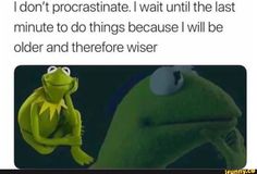 kermie the frog and miss piggy from muppet meme with caption that reads, i don't procrastinate i wait until the last minute