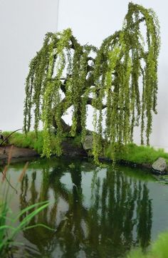 a pond with water and trees in it