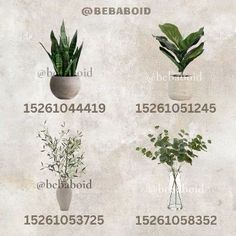 four different types of plants in vases with numbers on the bottom and below them