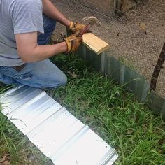 a man kneeling down next to a chicken in a fenced in area with grass on the ground