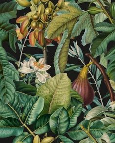 a painting of flowers and leaves on a black background