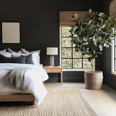 a bedroom with black walls, white bedding and a large plant in the corner