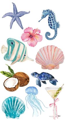 watercolor painting of sea animals and seashells