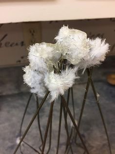 some white flowers are sitting in a vase