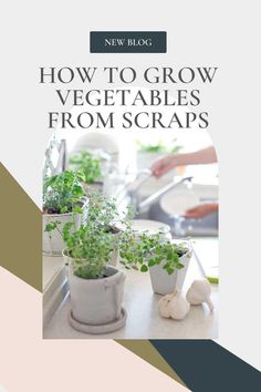 a book cover showing how to grow vegetables from scraps and other things in pots