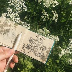 a person is holding an open book in front of some white flowers and green plants