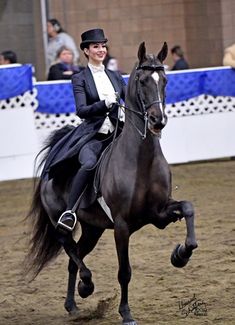 a woman riding on the back of a black horse in an arena with people watching