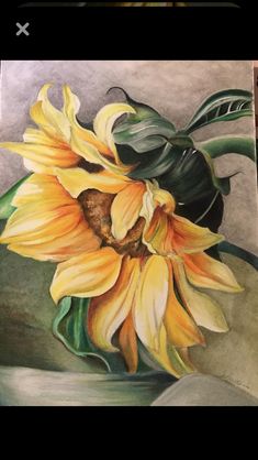 a drawing of a sunflower on a piece of paper with watercolor pencils