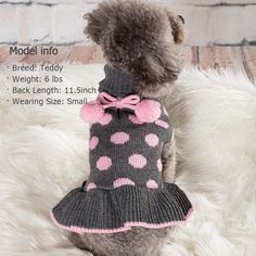 the dog is wearing a sweater with pink polka dots