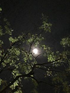 the moon shines brightly through the branches of a tree in the dark night sky