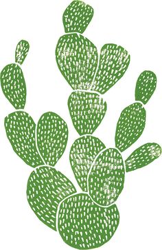 a drawing of a green cactus on a white background