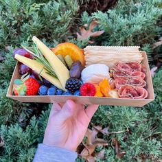 a person holding up a box filled with fruit and crackers in front of some bushes