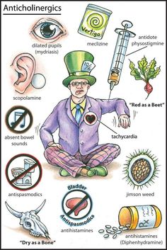 an image of the different types of antichloric items and their meaningss