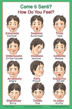 a poster with different facial expressions on the same person's face, which says how do you feel?