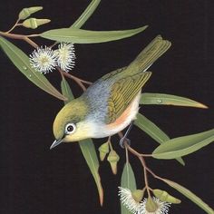 a painting of a bird sitting on top of a tree branch with white flowers and green leaves