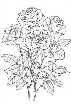 Intricate botanical illustration featuring detailed line art of roses coloring pages for adults, with various blooms and leaves ready for free printable coloring pages or finished artwork. Rose Flower Drawing, Flower Anatomy, Rose Coloring Pages, Digital Coloring Pages, Family Coloring Pages, Art Learning, Adult Coloring Books Printables, Family Coloring, Coloring Pages For Adults