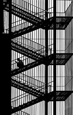 black and white photograph of stairs with bird in cage