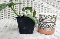 two planters sitting next to each other on a white wicker tablecloth covered surface