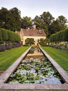 a pond in the middle of a garden with lily pads and water lilies growing on it