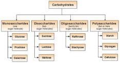 a diagram with different types of substances and their names in spanish, english and french