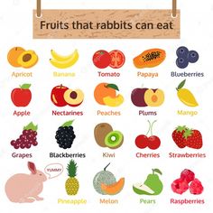 an image of fruits that rabbits can eat