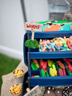 there is a blue container filled with treats