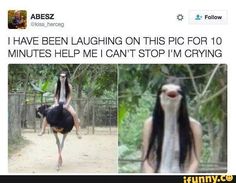 an ostrich with long black hair standing on its back legs