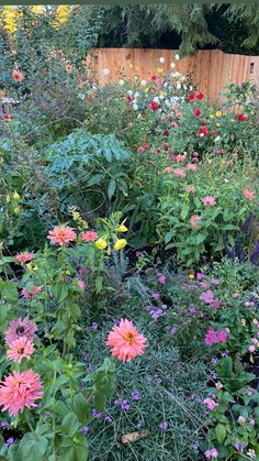 a garden filled with lots of flowers next to a wooden fence