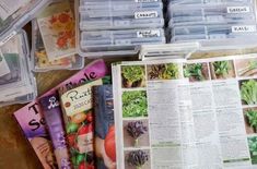 several plastic containers filled with different types of vegetables