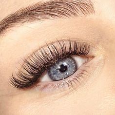 Single Lash Extensions, Classic Lash Extensions, Evening Eye Makeup, Mink Eyelash Extensions