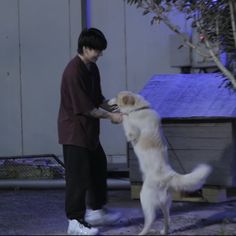 a man standing next to a white dog on top of a cement floor in front of a tree